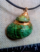 Custom hand crafted turbo shell necklace adjustable nc147