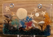 Resin ocean terrarium nautical sea shell beach art ss52