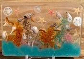  Resin ocean terrarium nautical sea shell beach art ss54 