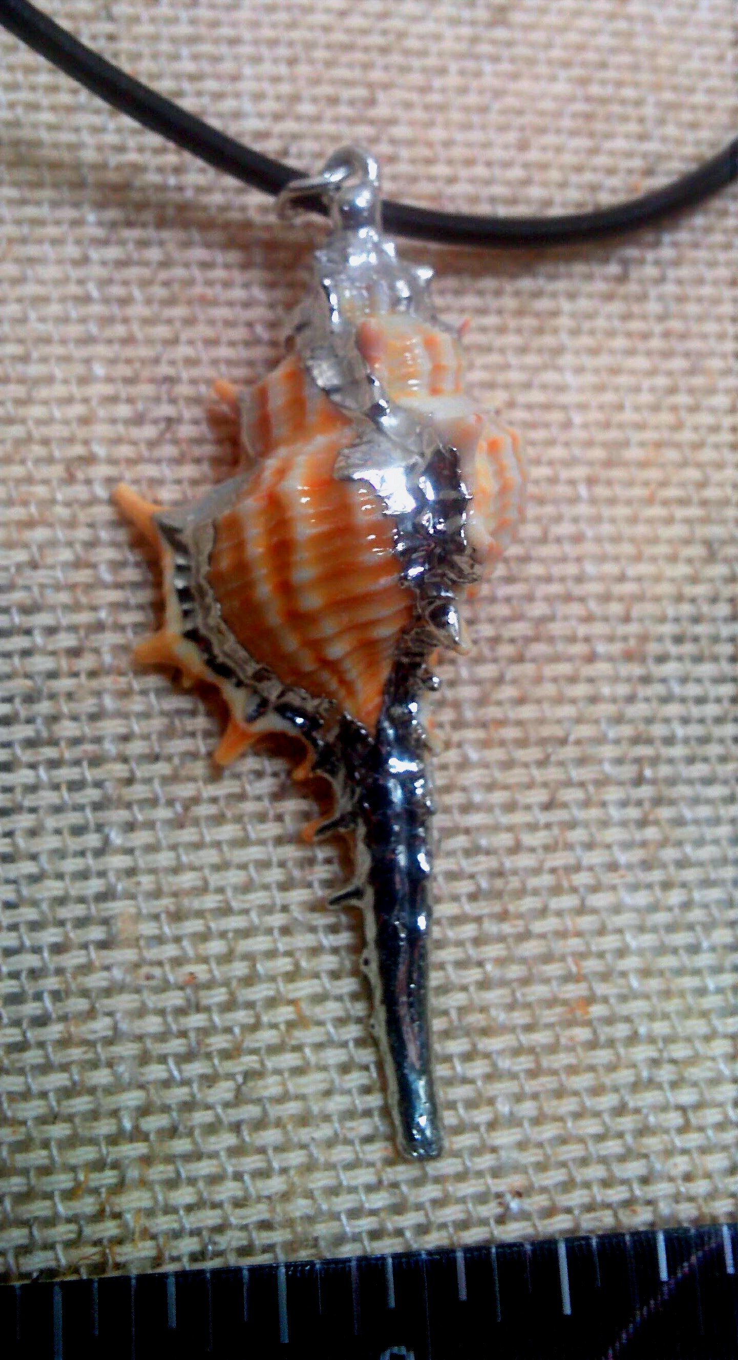 natural sea shell and leather cord necklace